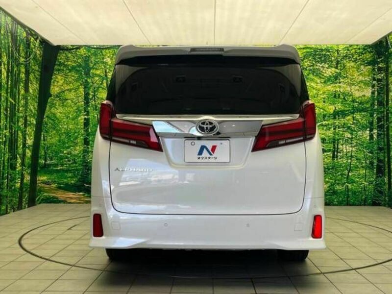 ALPHARD-16