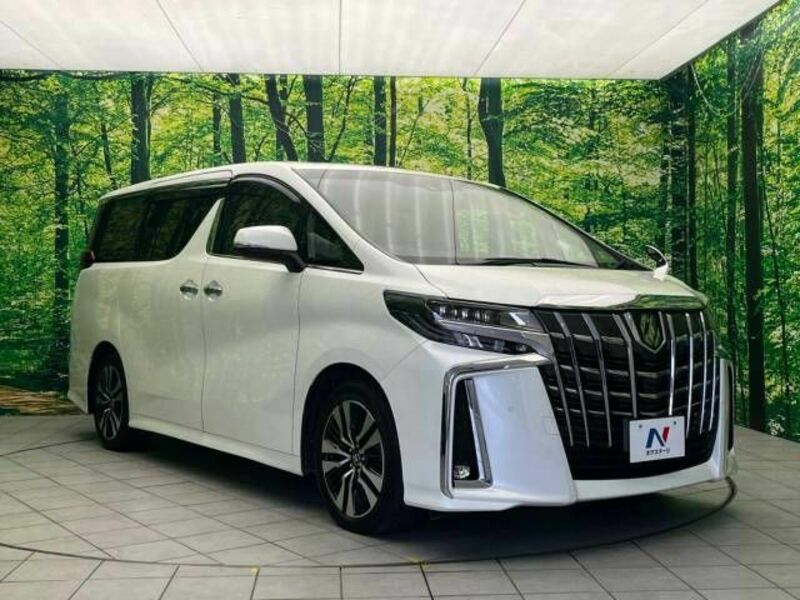 ALPHARD-17