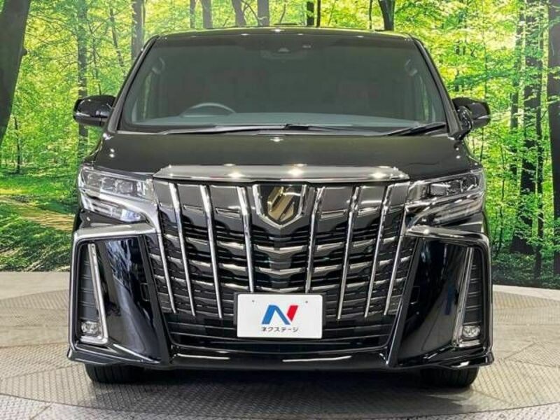 ALPHARD-16