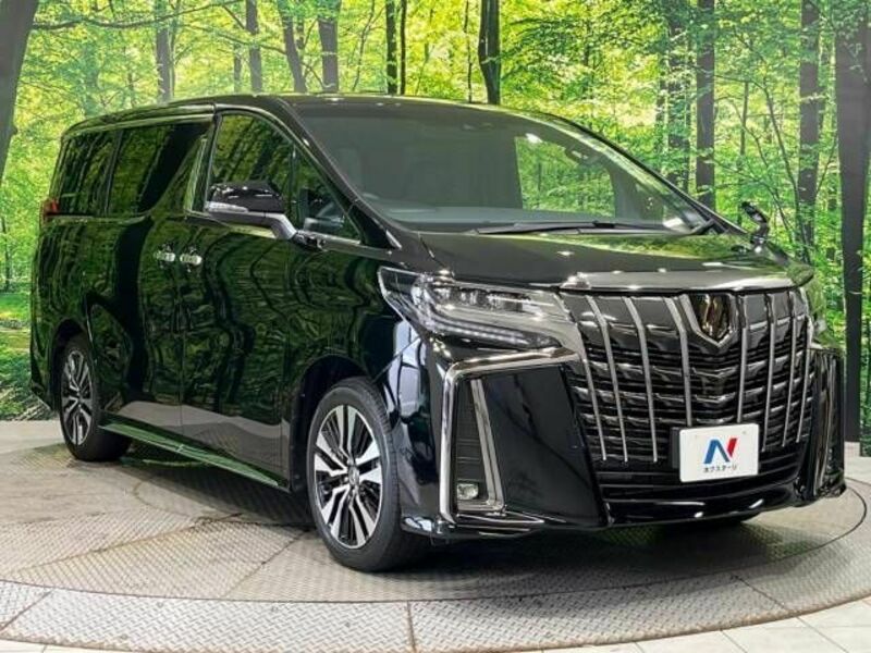 ALPHARD-18