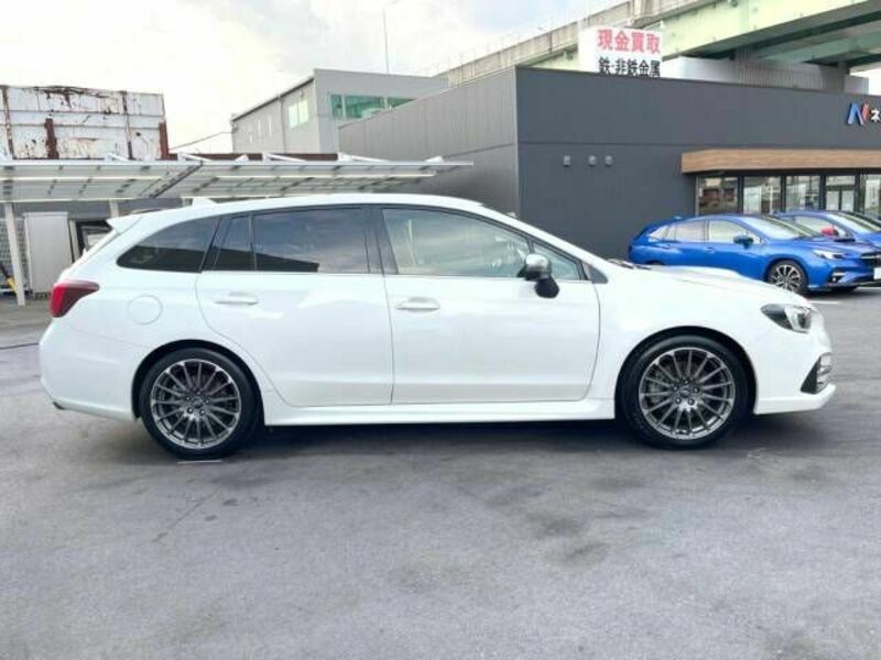 LEVORG-19