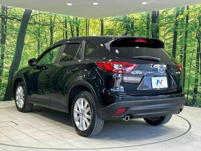 CX-5-17