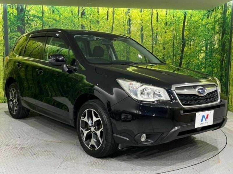 FORESTER-16