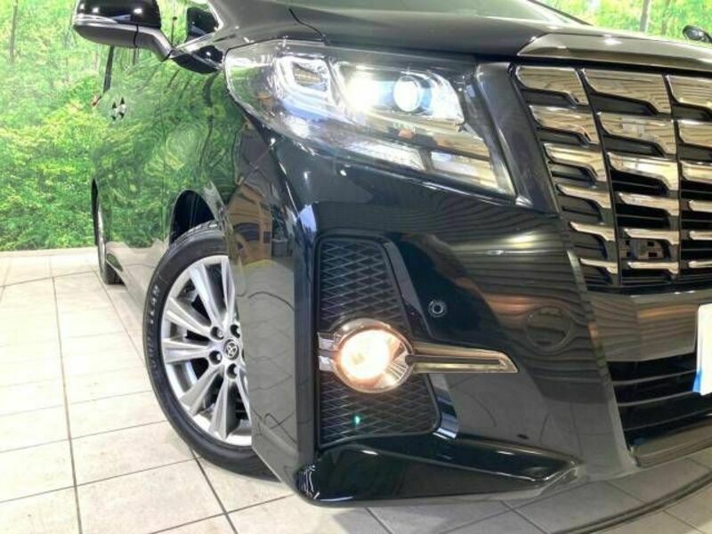 ALPHARD-11