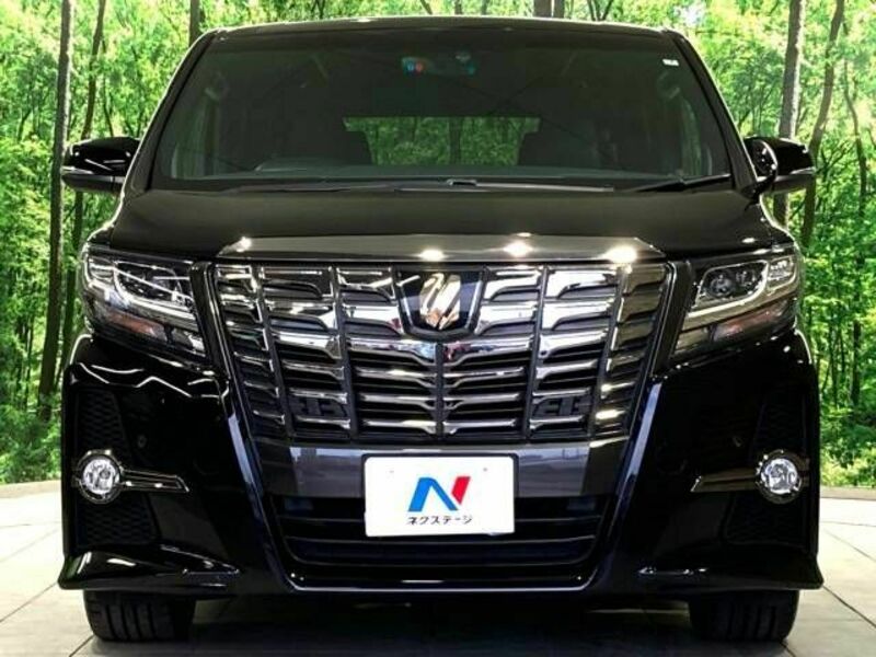 ALPHARD-14