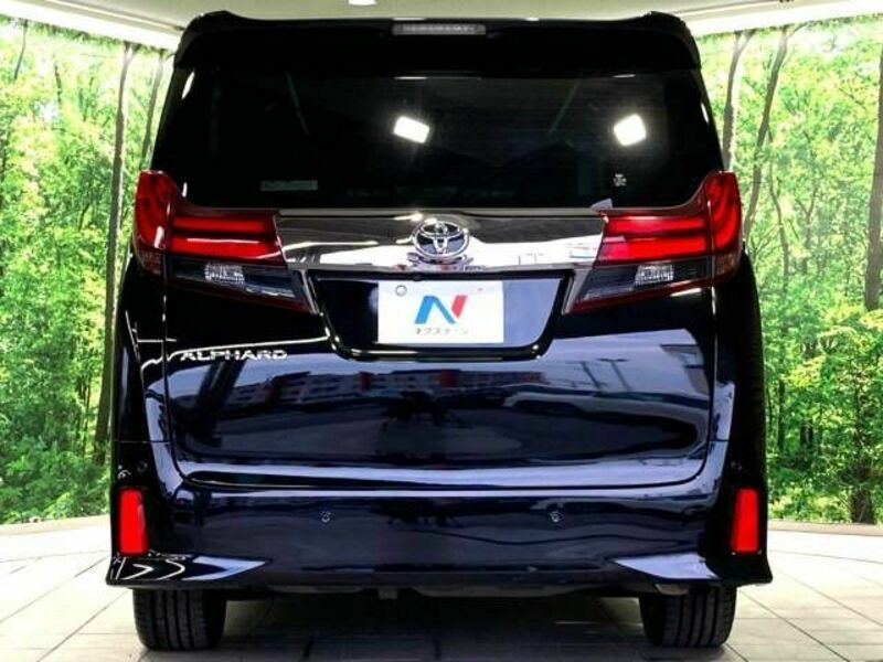 ALPHARD-15