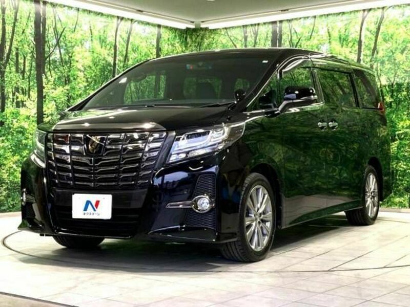 ALPHARD-16