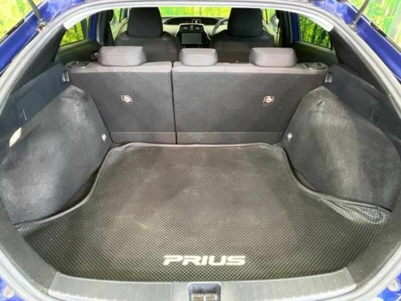 PRIUS-10