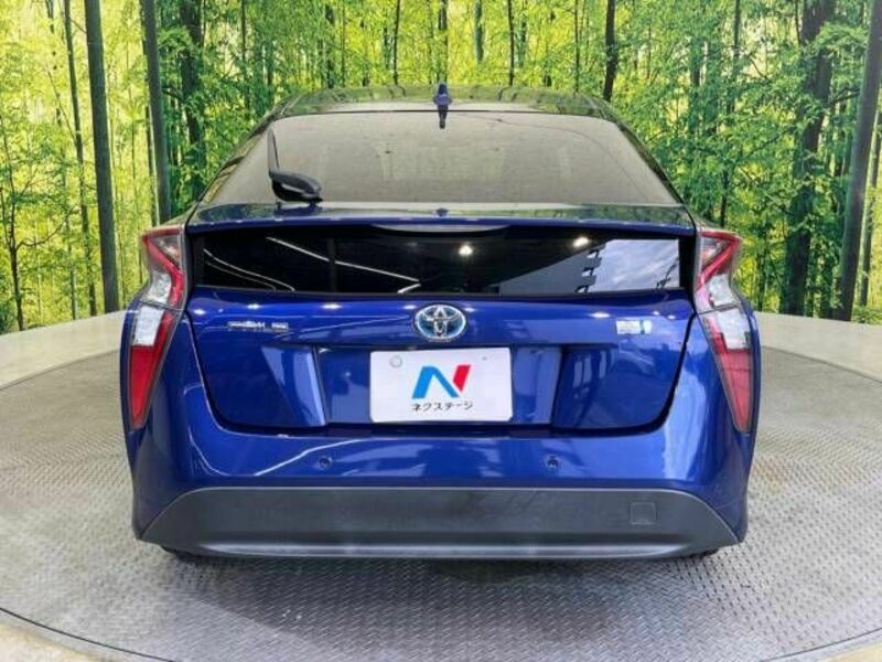 PRIUS-15