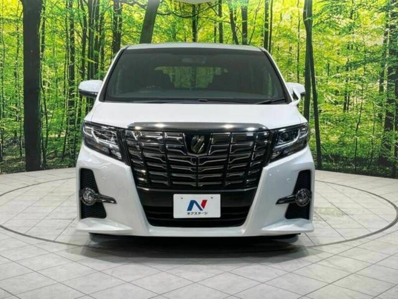 ALPHARD-15