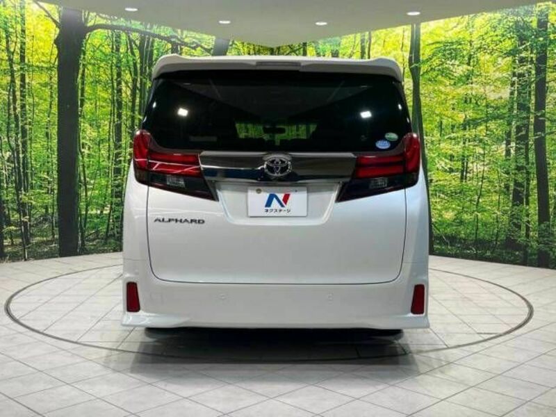 ALPHARD-16