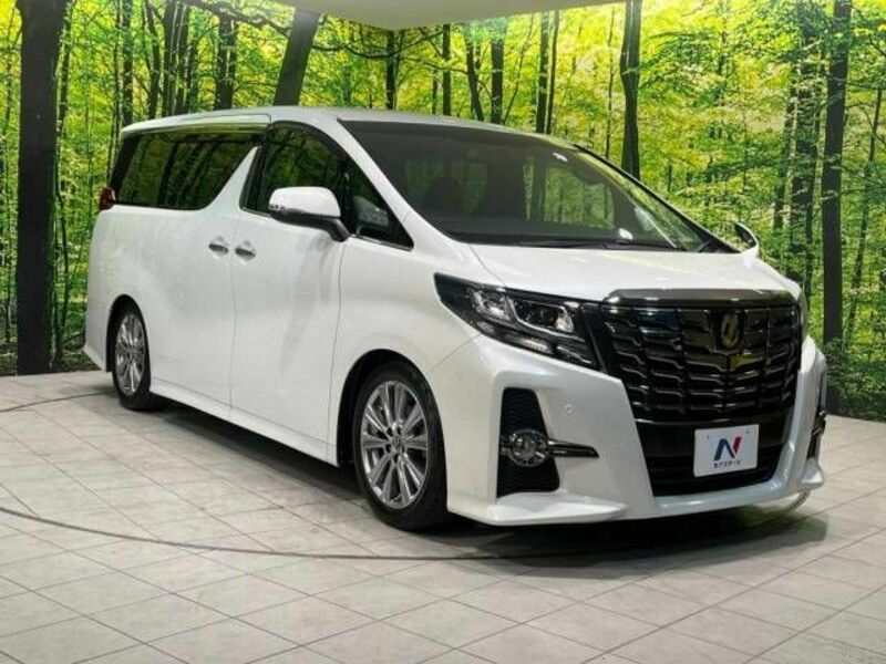 ALPHARD-17