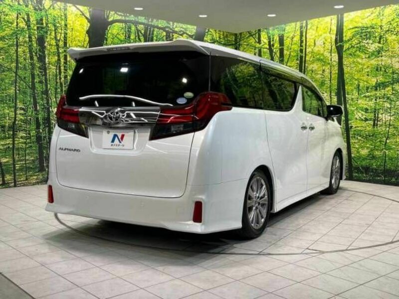 ALPHARD-18