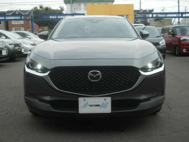 CX-30-1