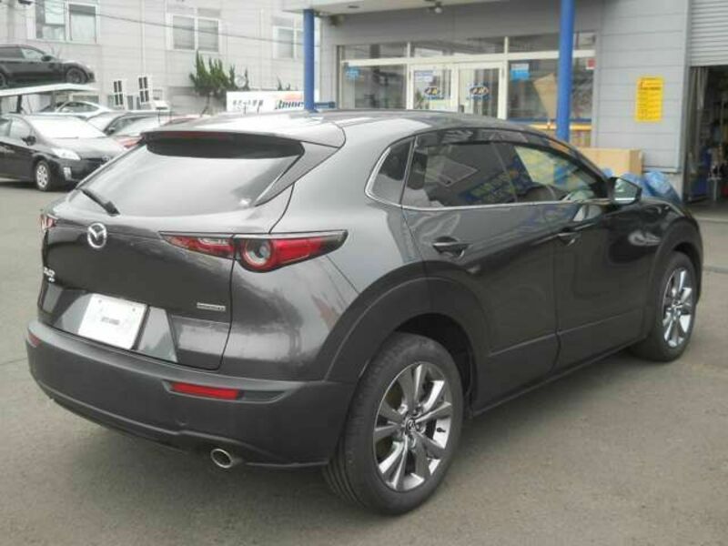 CX-30-4