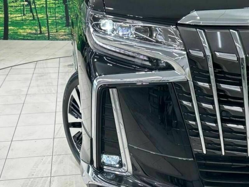 ALPHARD-12