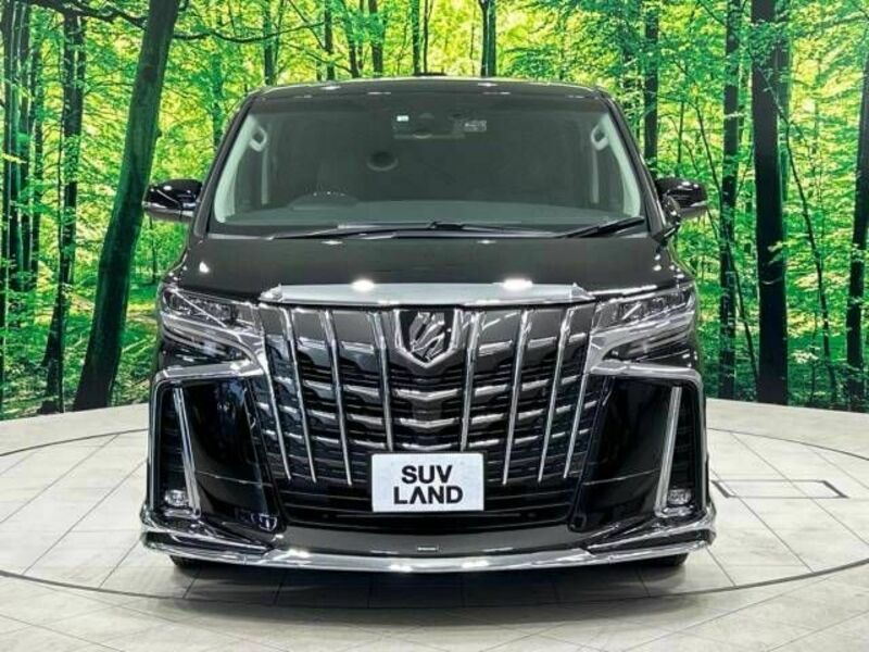 ALPHARD-14