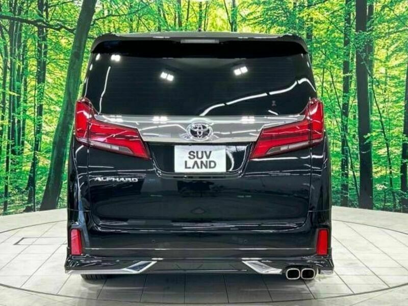 ALPHARD-15