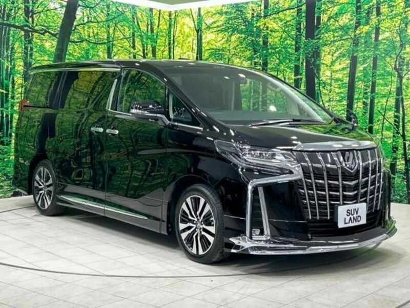 ALPHARD-16