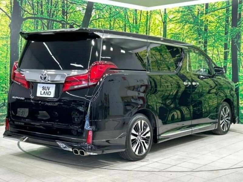 ALPHARD-17