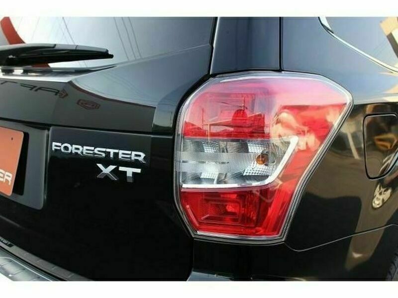 FORESTER-11