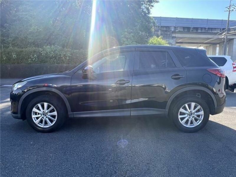 CX-5-19