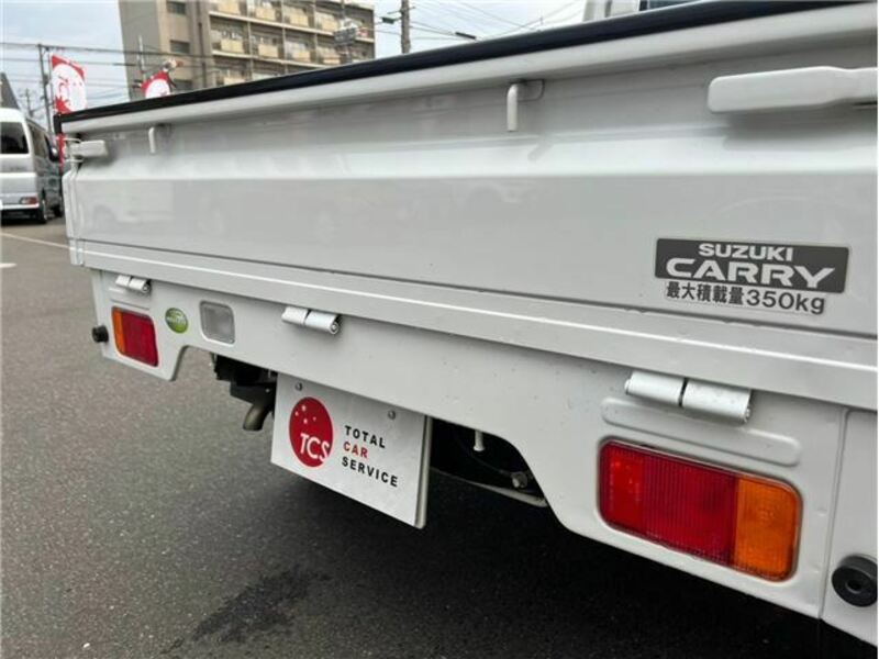 CARRY TRUCK-19