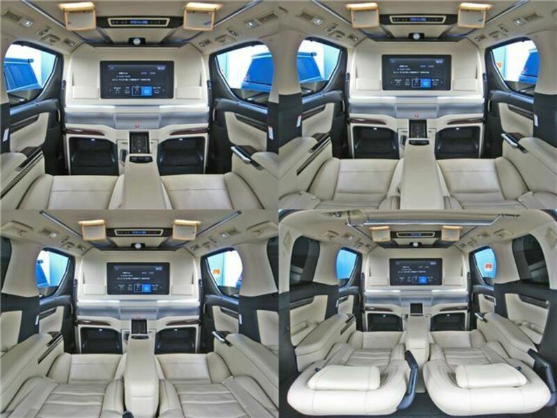 ALPHARD-31