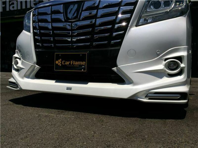 ALPHARD-5