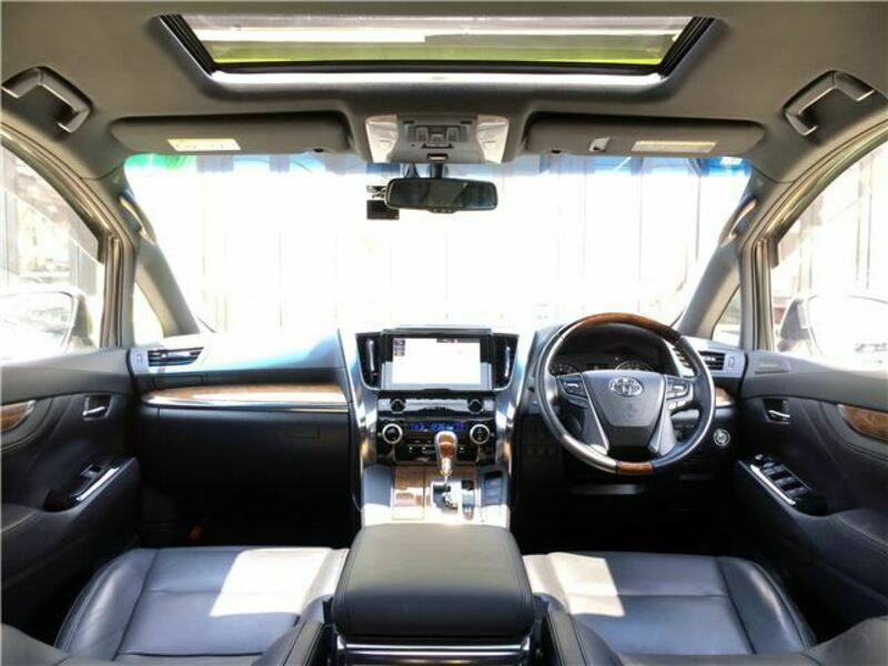 ALPHARD-18