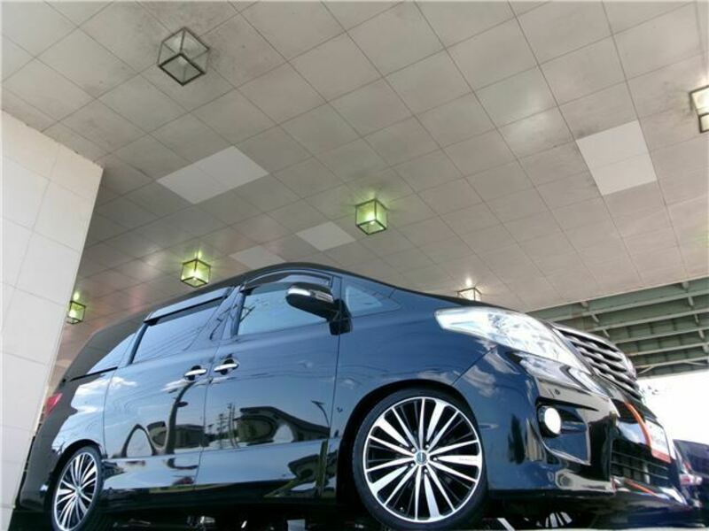 ALPHARD-5