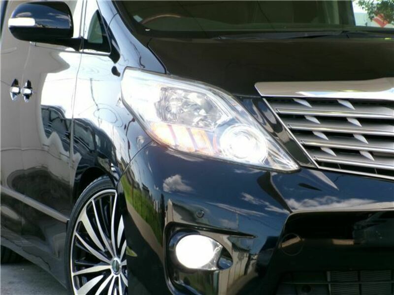 ALPHARD-7