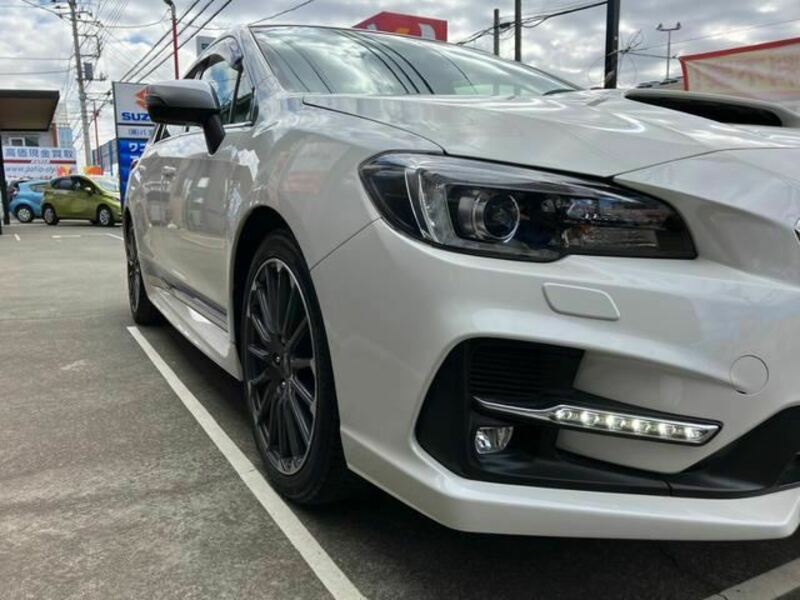 LEVORG-13