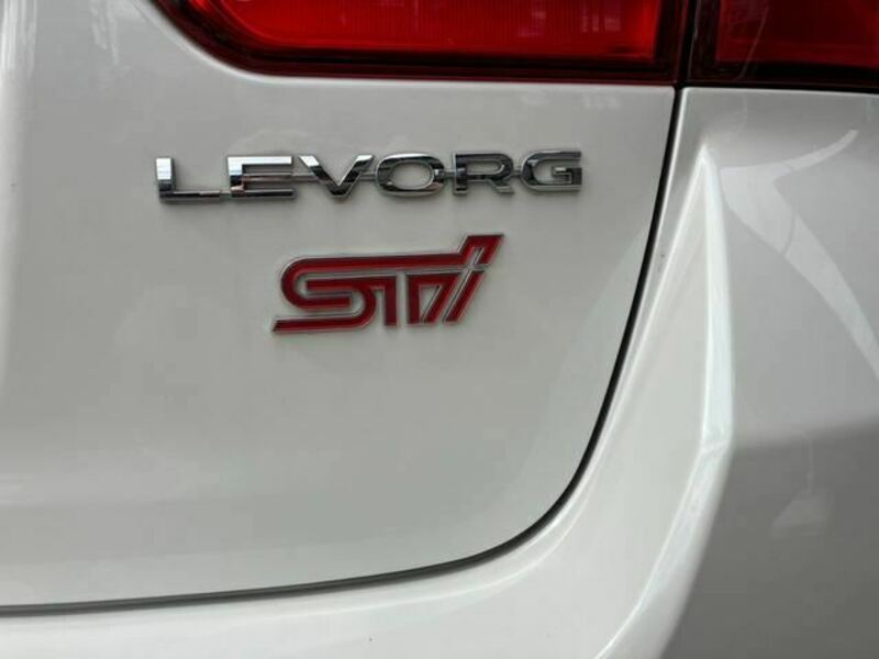 LEVORG-19