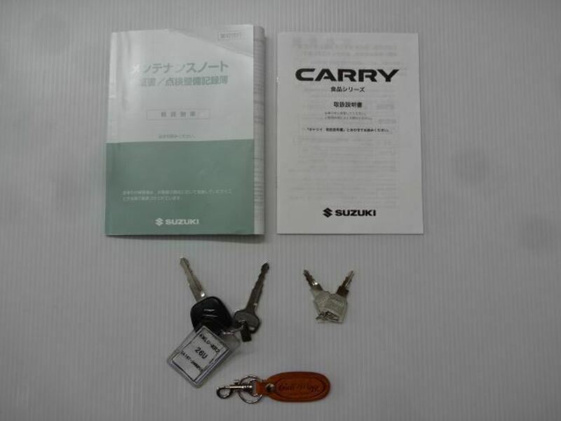 CARRY TRUCK-47