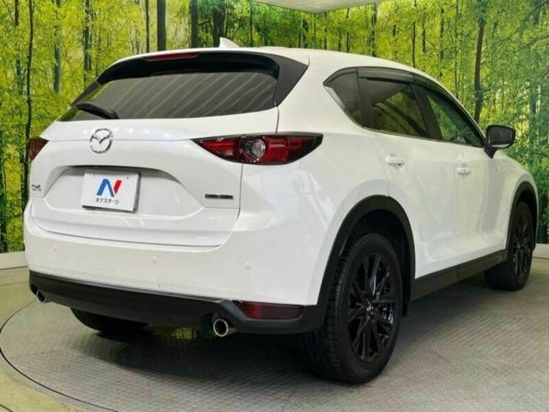 CX-5-17