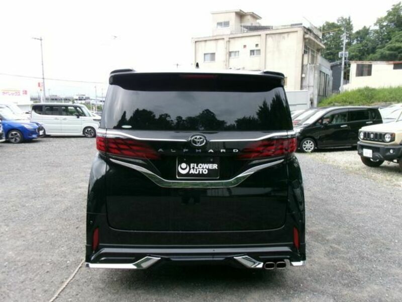 ALPHARD-6