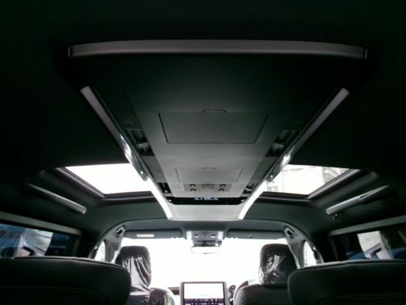 ALPHARD-11