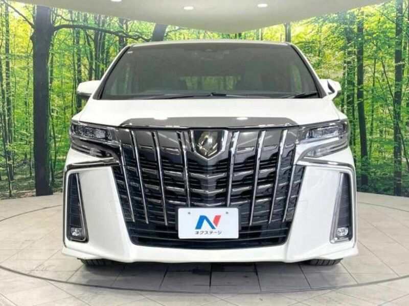 ALPHARD-15