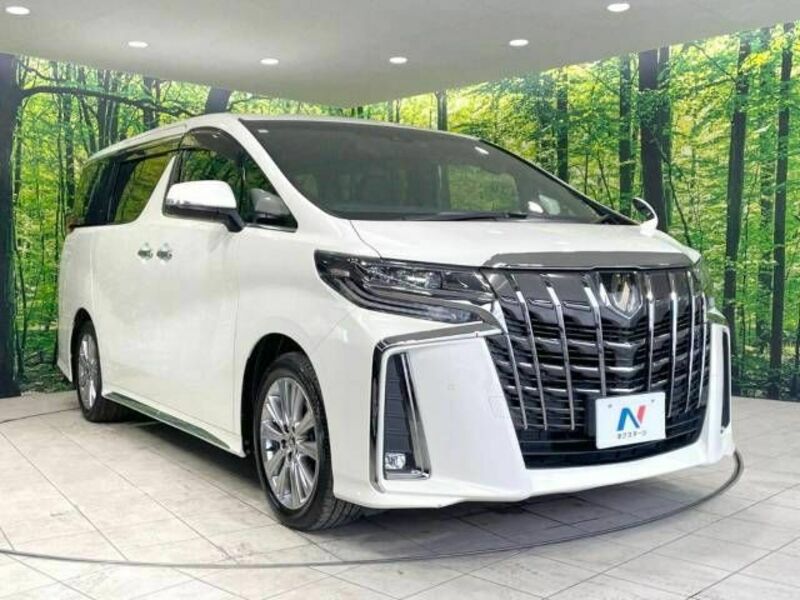 ALPHARD-17