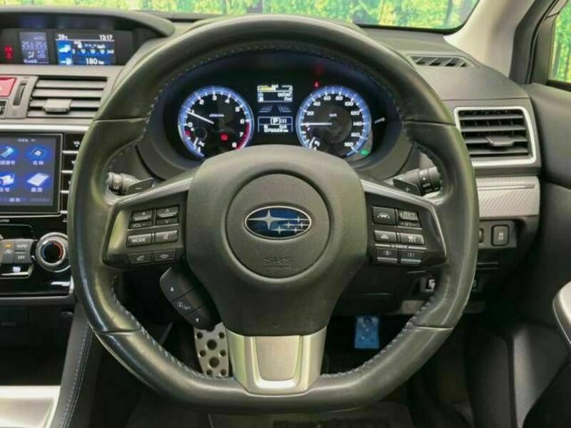 LEVORG-11