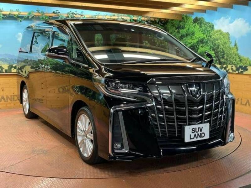 ALPHARD-16