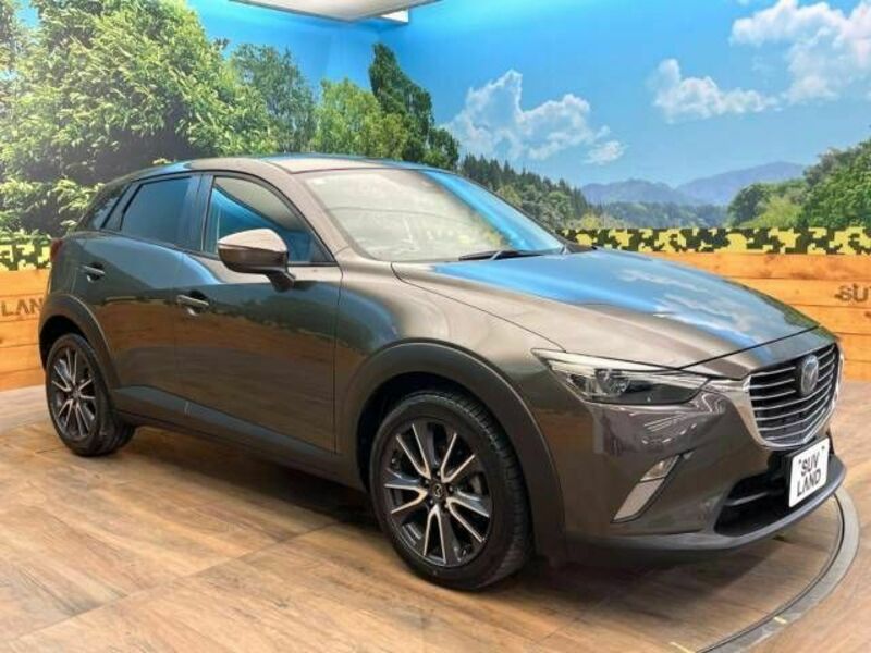 CX-3-16