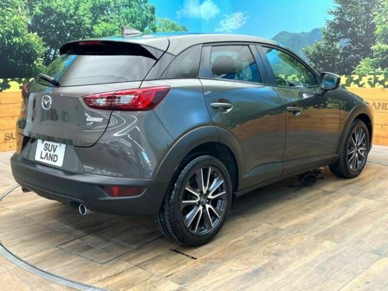 CX-3-17