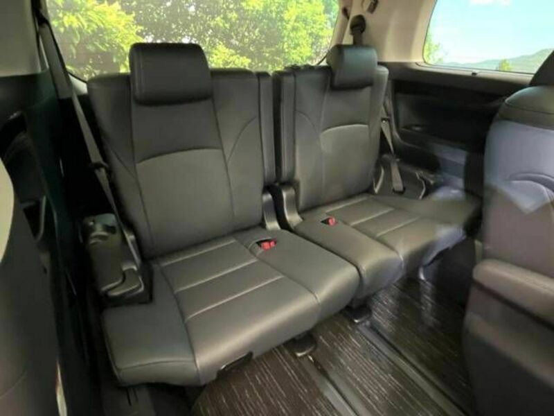 ALPHARD-10