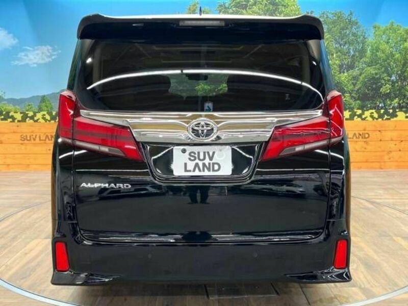 ALPHARD-16