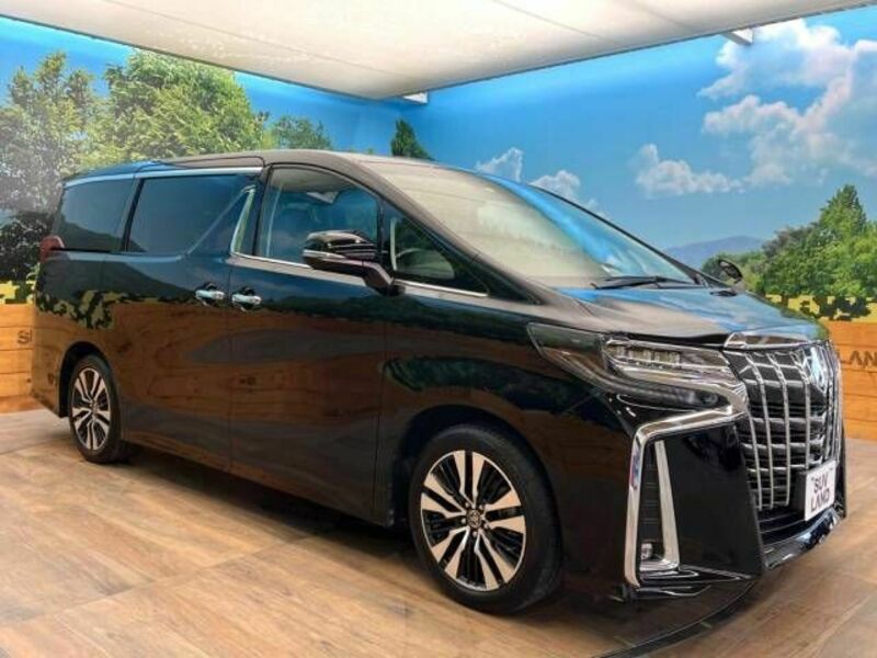 ALPHARD-17