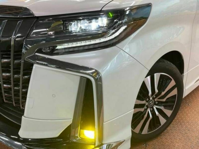 ALPHARD-15