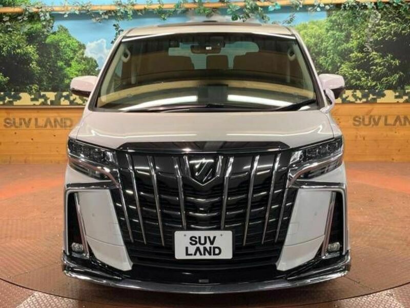 ALPHARD-17