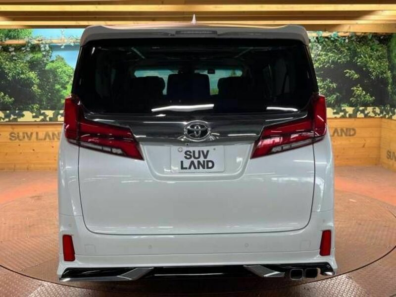 ALPHARD-18